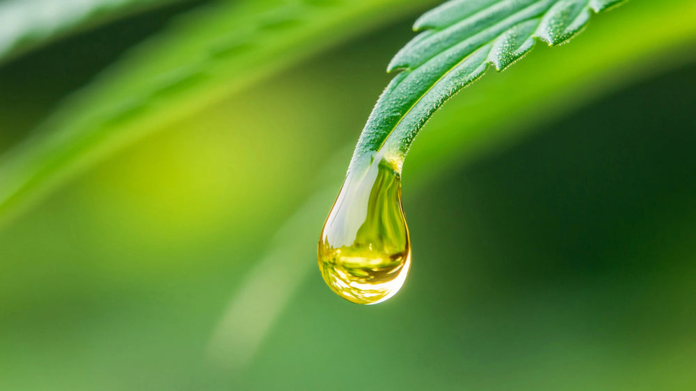 CBD Topicals Collection