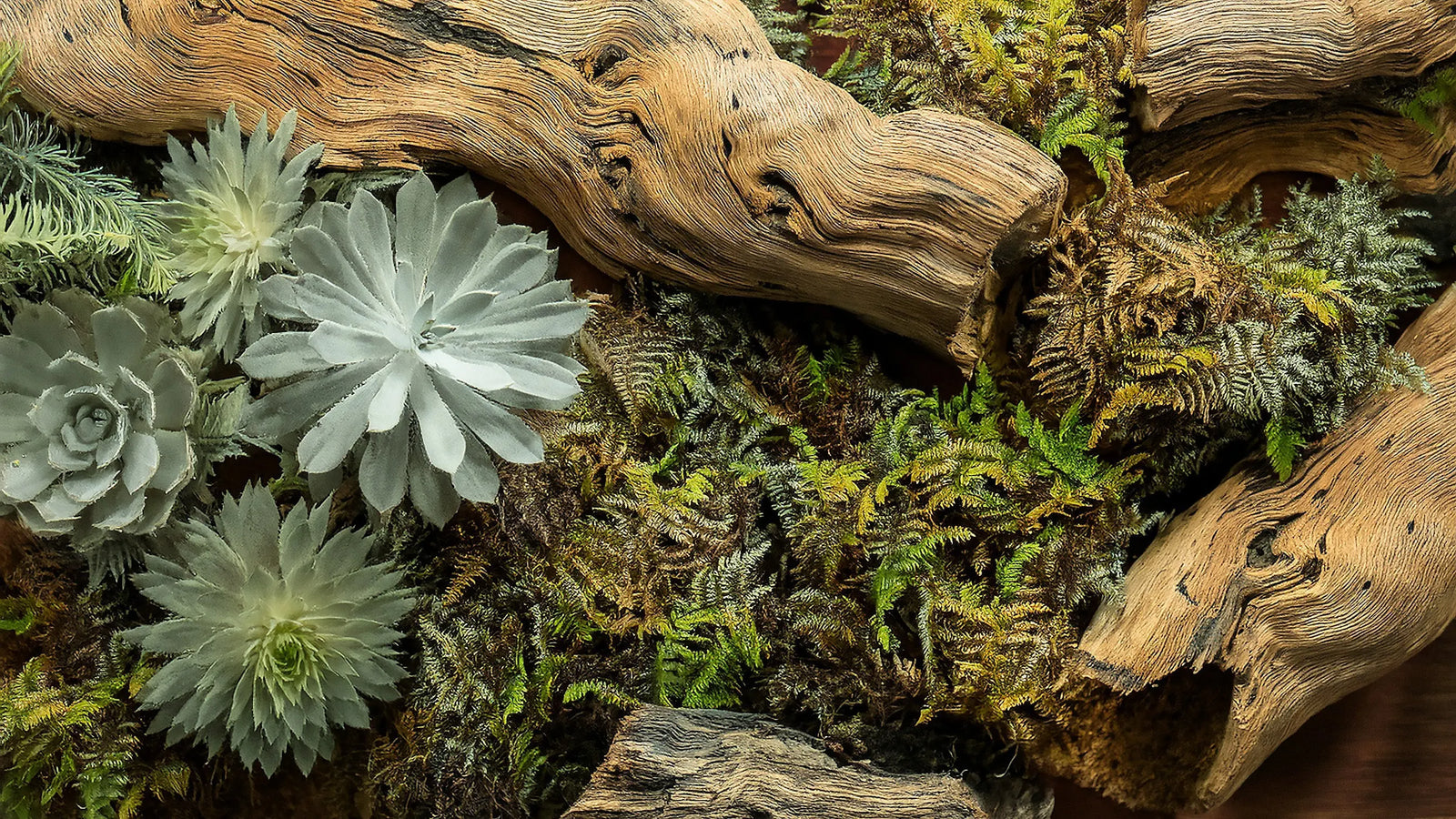 Earthy and Rooted Fragrance Collection