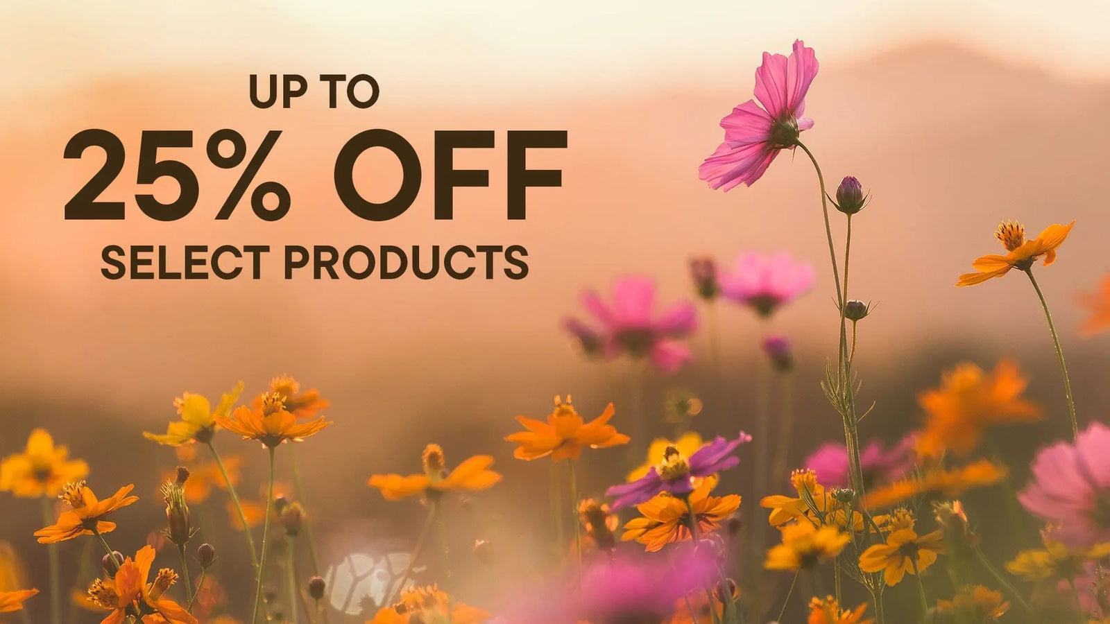 Discontinued-Products Kuumba Made