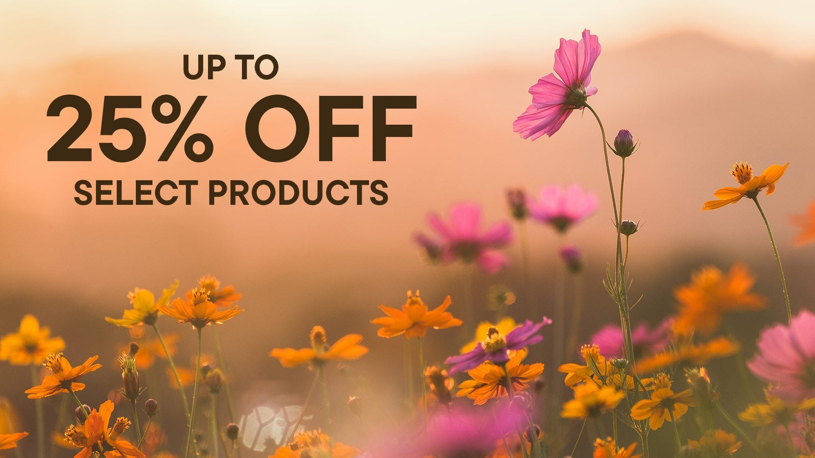 Discontinued Products