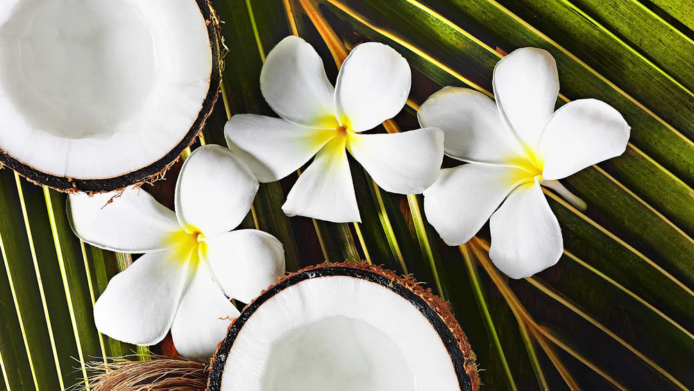 Tropical & Alluring Fragrance Oil Collection