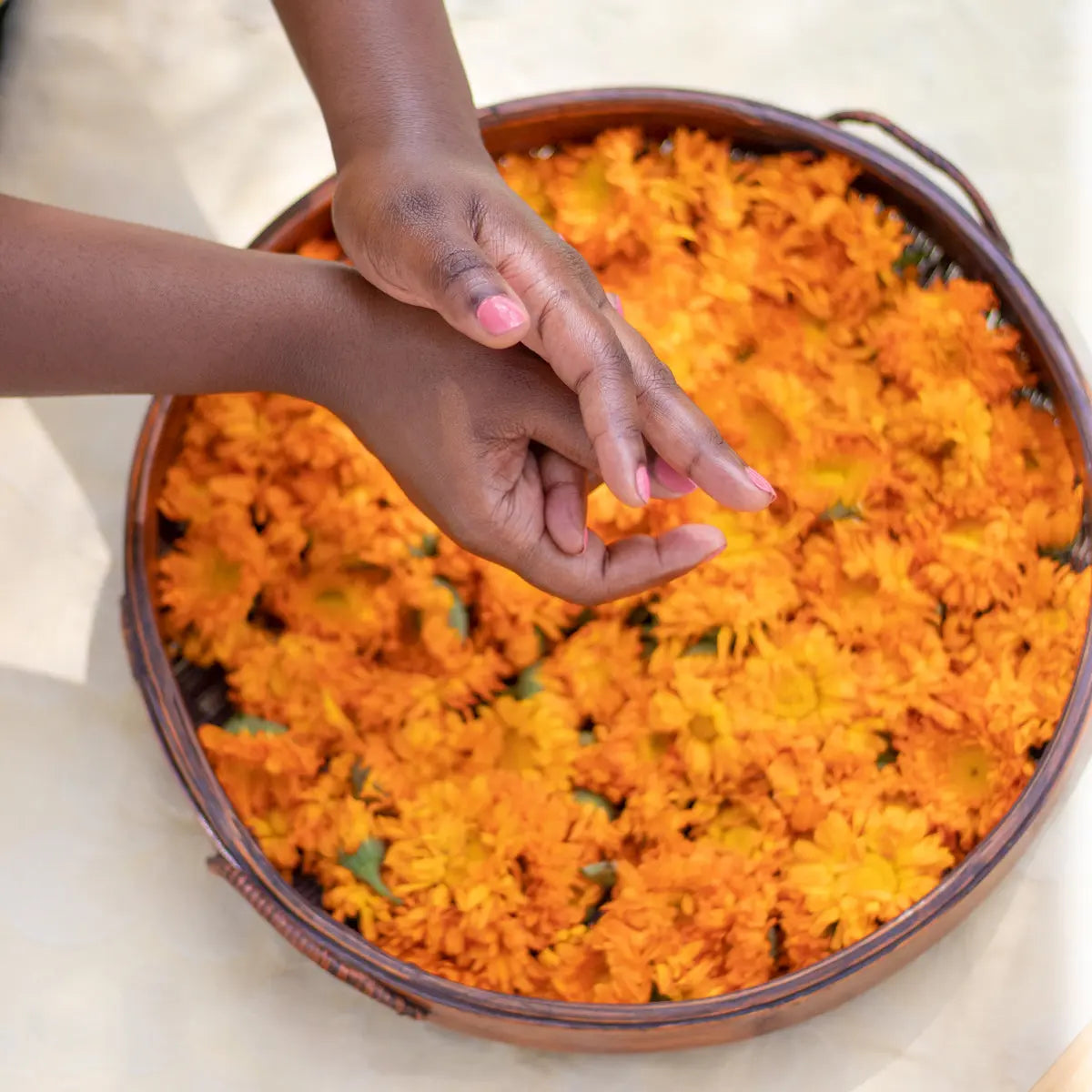 Hands rubbing organic calendula coconut oil moisturizer.